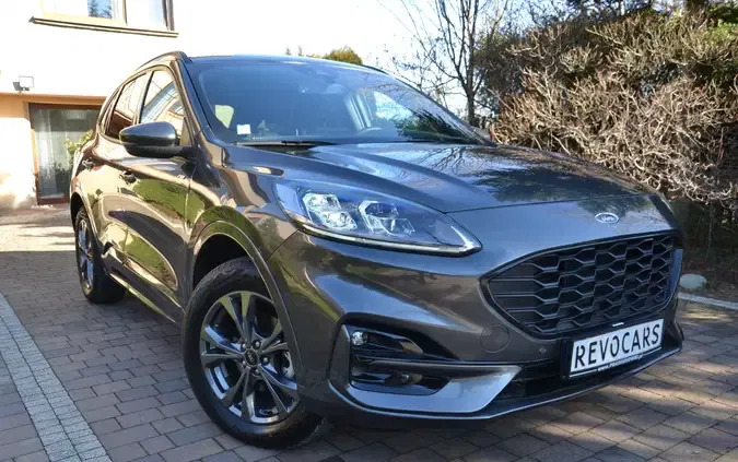 jędrzejów Ford Kuga cena 139900 przebieg: 8000, rok produkcji 2023 z Jędrzejów